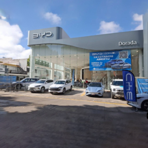 BYD Dorada Puebla