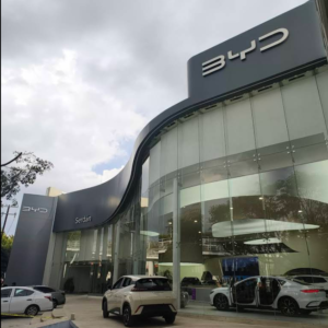BYD Serdan PUEBLA